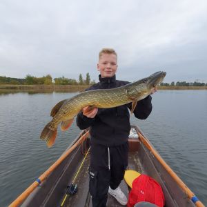 Profilbild