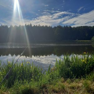 NinosanglerbarschwieeinArsch