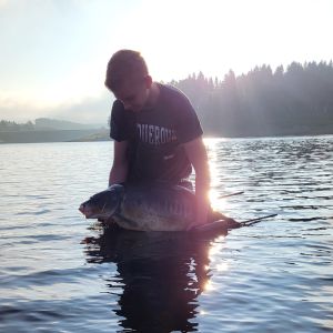 Profilbild