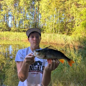 Profilbild