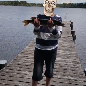 Profilbild