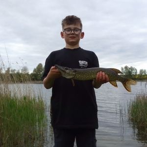 Profilbild