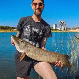 Profilbild