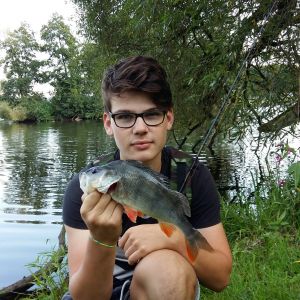 SpinnFisher2812