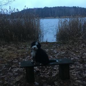 Profilbild