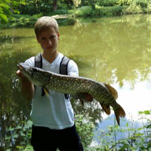 Profilbild
