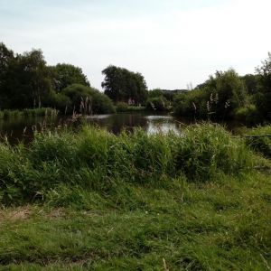 Kawa