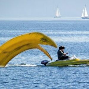 Lankauer See ALLE ANGELN