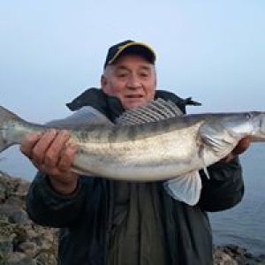 Angellädchen H. Laudien