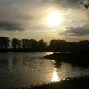 Profilbild