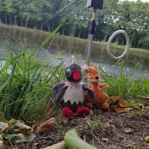 Profilbild