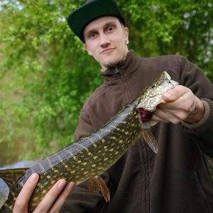 Profilbild