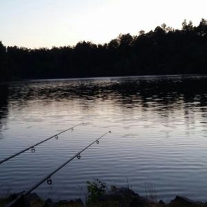 Profilbild