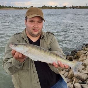 MAIKEL2904