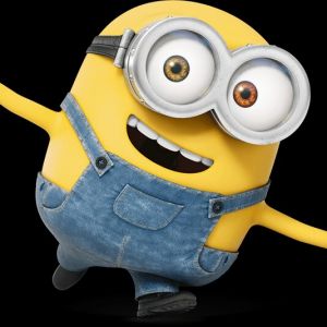 Profilbild