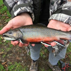 Justin  ( Nash,Fox ) , Angler aus Leidenschaft