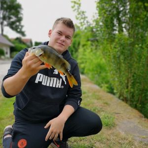 BarschKiller