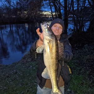Dennis.Oppermann