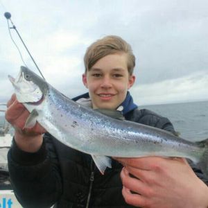 Profilbild