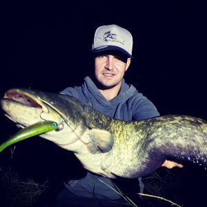 Bero Baits