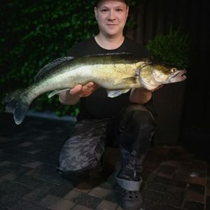 Profilbild