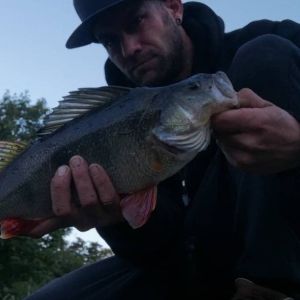 Marko Heinemann
