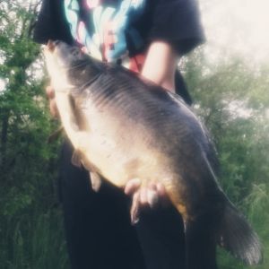 Flyfishing Sachsen-Anhalt