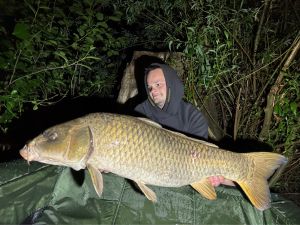 CARP_CHRIS