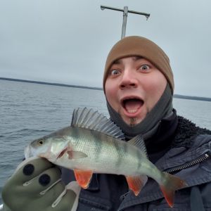 Profilbild