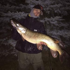 RAUBFISCHREAKTOR