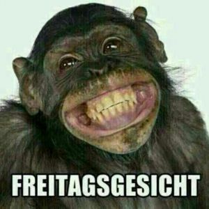 söhlefuchs