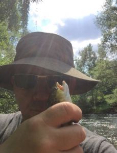 Profilbild