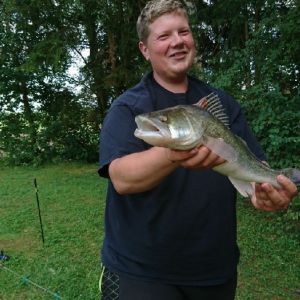 Profilbild