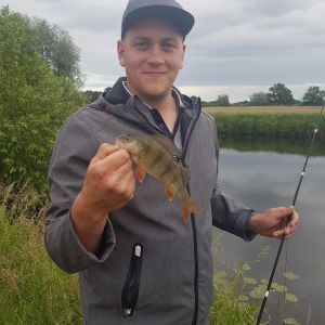 Niklas Bloom