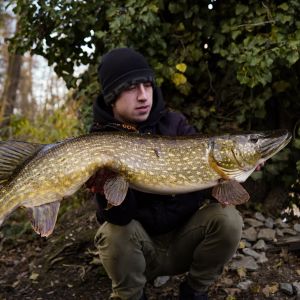 Pike17