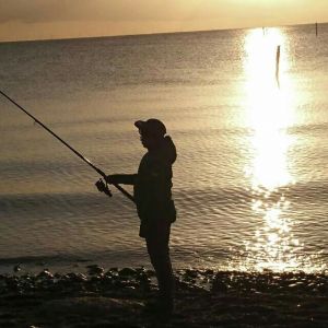 Profilbild