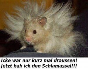 Profilbild