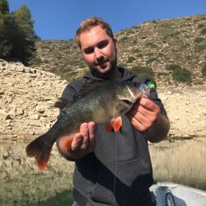 TobiFFB