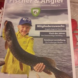 Profilbild