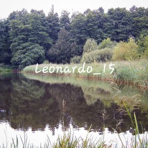 Leonardo_15
