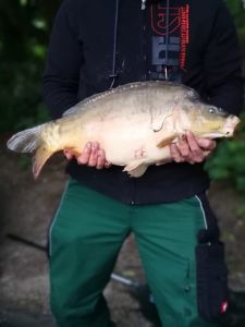 hardcore carpfishing