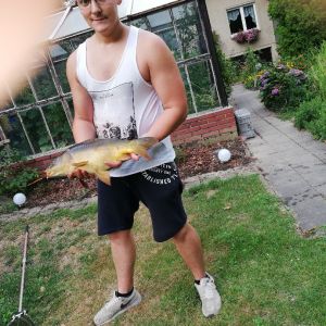 Profilbild