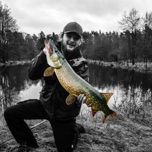 Profilbild