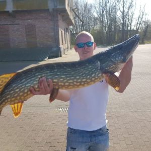 Profilbild