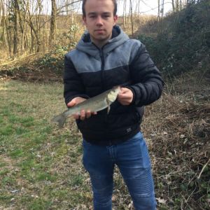 Fabi-AVW