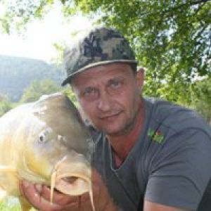 Profilbild
