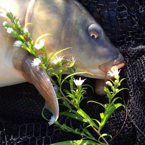 Patrick Schmidt 2008