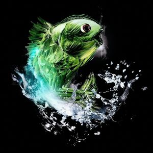 Profilbild