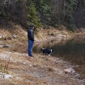 Profilbild