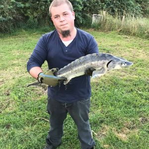 Profilbild